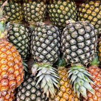 montufar pineapple