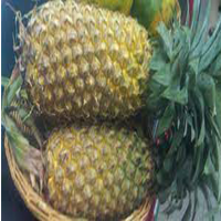 panare pineapple