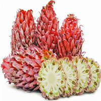 red spanish pineapple