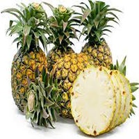 sugar loaf pineapple