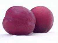 Plums-summer fruits
