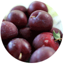 Plums fruit