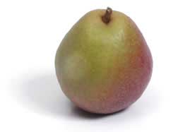 Seckel
