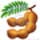 tamarind