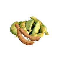 sour-tamarind