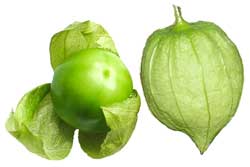 tomatillo tomatillo