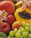 Tropical Fruits