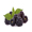 boysenberries icon