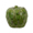 cherimoya icon