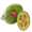 feijoa icon