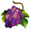 grapes icon