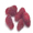 olallieberry icon
