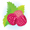 raspberry icon