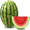 watermelon icon