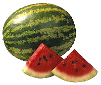 Watermelon-summer fruits