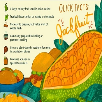 Baby Jackfruit facts