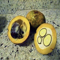 bacuri fruit