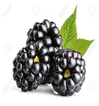 Blackberry fruit image
