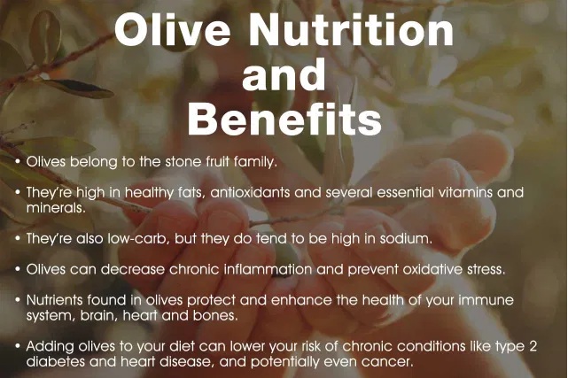 olive fruit nutrition small