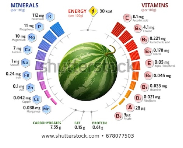 watermelon fruit minerals small