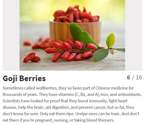 goji berries fruit nutrition small