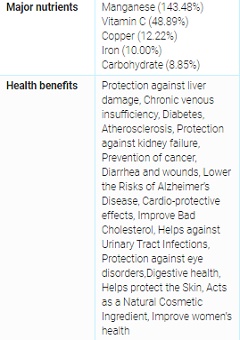 bilberry nutrition chart