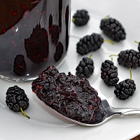mulberry fruit jam