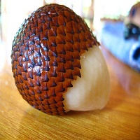 snake fruit