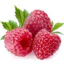 There are over 200 different known species of raspberries