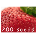 200 seeds